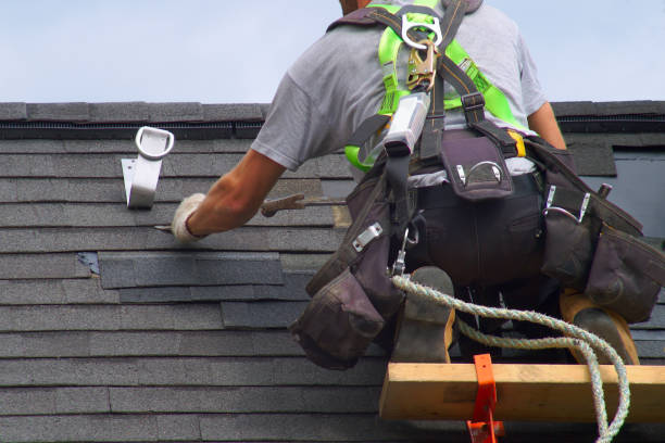 Best Roof Gutter Cleaning  in Mead, WA