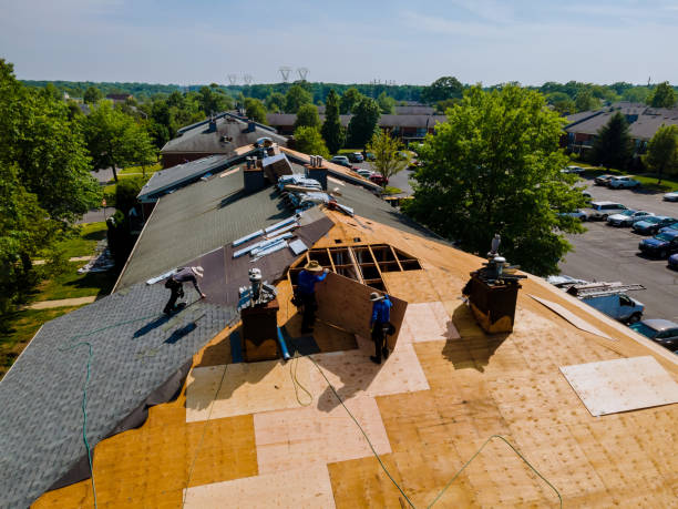 Best Storm Damage Roof Repair  in Mead, WA