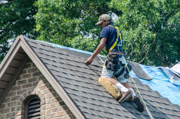 Best Gutter Installation and Roofing  in Mead, WA